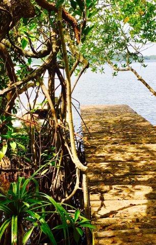Cinnamon Island Boat Tour