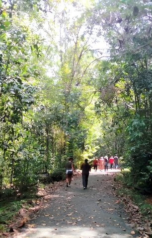 Explore Kanneliya Rainforest